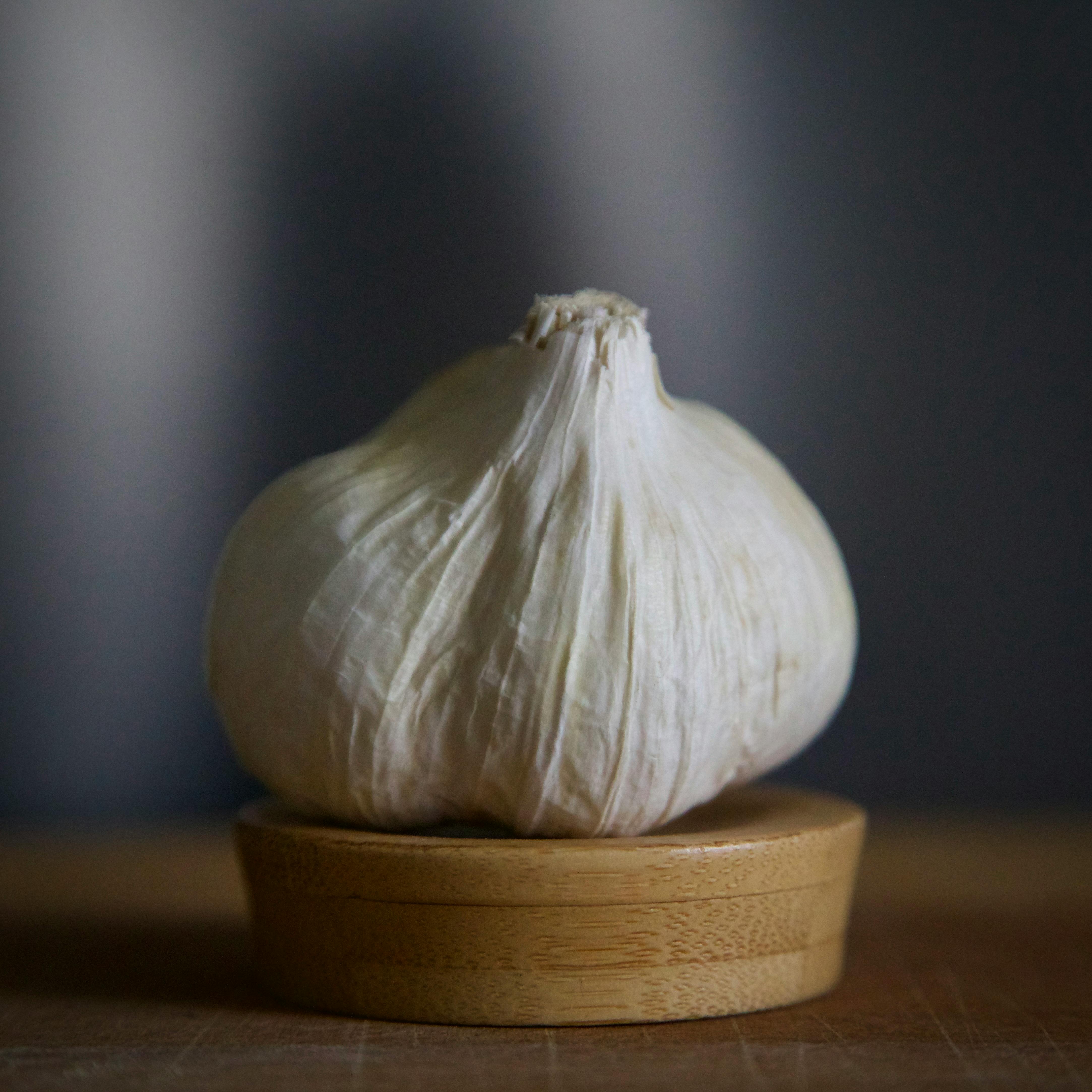 Garlic